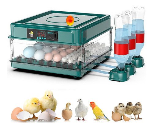 38p Incubadora Automática De Aves Yunjas De Corral Nacedora - $ 958.8