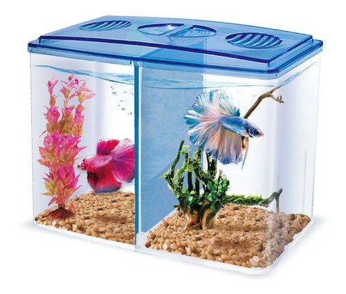 Bettera Doble 1.5 Lts Acuario Peces Betta - $ 89