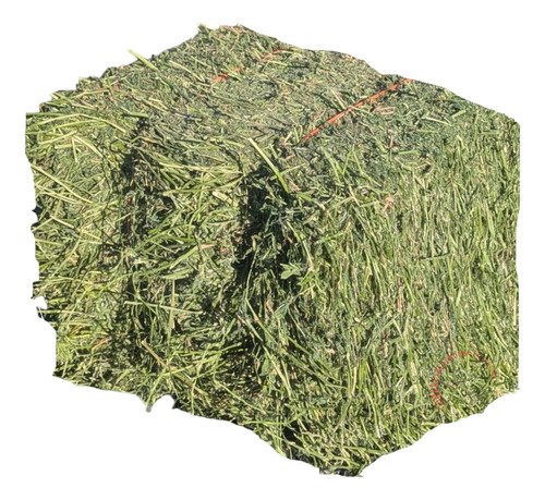 Heno De Alfalfa/avena/timothy Pasto 3 Kg Para Conejo Cuyo - $ 285