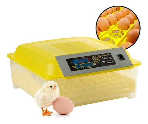 Incubadora 48 Huevos Pollos Y Aves Con Giro Automatico - $ 1,099.9