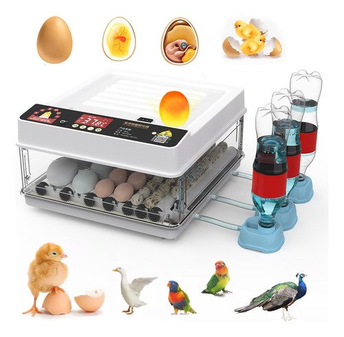 Incubadora Automática De Aves Corral P/ 56 Huevos Y Aves - $ 789.6