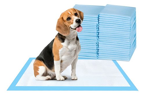 Pañal Almohadillas De Entrenamiento Para Perros Y Gatos 50pz - $ 189.62