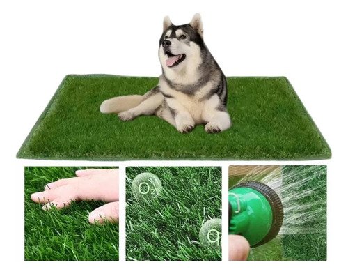 Tapete Entrenador Pasto Perro Transpirable Y Lavable 71x46cm - $ 117.31